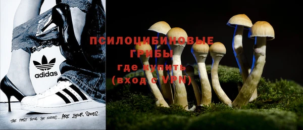 дурь Аркадак