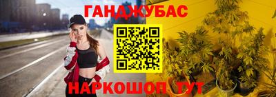стаф Владимир
