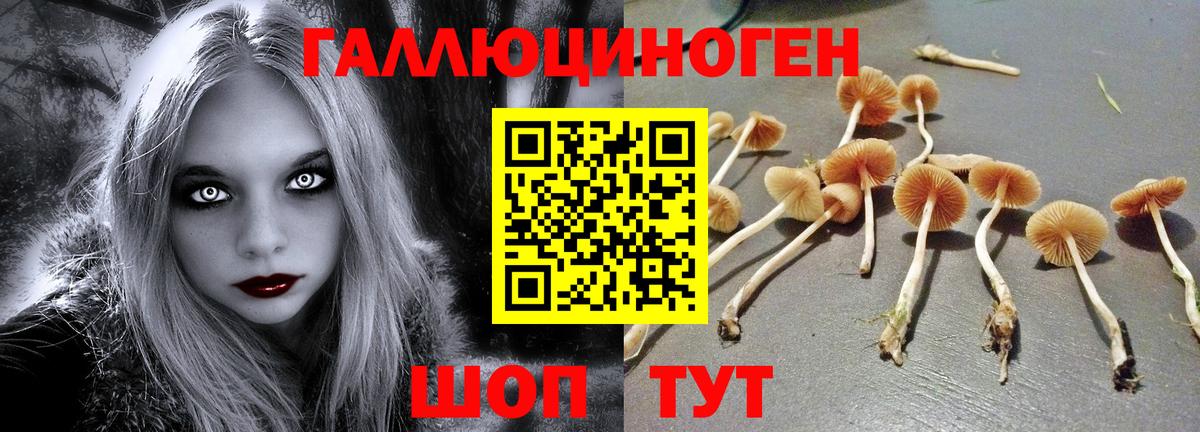 Копейск  Галлюциногенные грибы MAGIC MUSHROOMS  Вход с VPN 