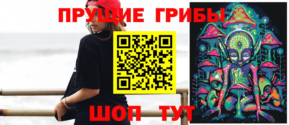 Псилоцибиновые грибы Cubensis Копейск